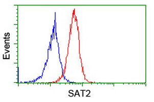 m04174 anti sat2 mouse monoclonal antibody clone id oti1c9 flow cytometry testing 11