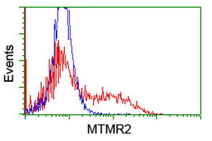 m04202 anti mtmr2 mouse monoclonal antibody clone id oti5g5 flow cytometry testing 3