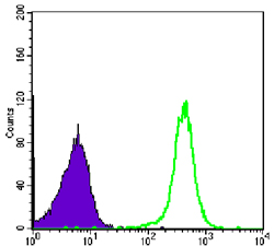 Flow cytometric analysis of COS7 cells using CBX1 Monoclonal Antibody (green) and negative control (purple)