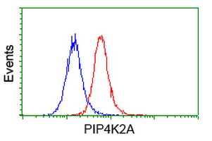 m04244 1 anti pip5k2 alpha pip4k2a mouse monoclonal antibody clone id oti1b2 flow cytometry testing 3