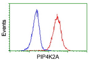 m04244 1 anti pip5k2 alpha pip4k2a mouse monoclonal antibody clone id oti1b2 flow cytometry testing 4