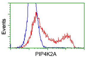 m04244 anti pip5k2 alpha pip4k2a mouse monoclonal antibody clone id oti3d3 flow cytometry testing 5