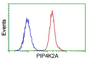 m04244 anti pip5k2 alpha pip4k2a mouse monoclonal antibody clone id oti3d3 flow cytometry testing 6