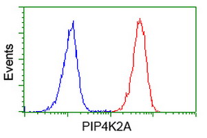 m04244 anti pip5k2 alpha pip4k2a mouse monoclonal antibody clone id oti3d3 flow cytometry testing 7