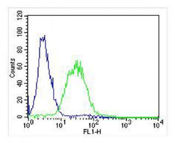 m04253 anti zebrafish ak2 antibody center fc testing 4