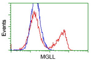 m04317 anti monoacylglycerol lipase mgll mouse monoclonal antibody clone id oti1h1 flow cytometry testing 17