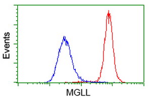 m04317 anti monoacylglycerol lipase mgll mouse monoclonal antibody clone id oti1h1 flow cytometry testing 18