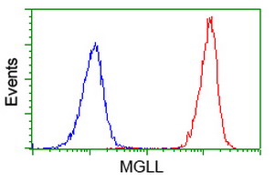 m04317 anti monoacylglycerol lipase mgll mouse monoclonal antibody clone id oti1h1 flow cytometry testing 19