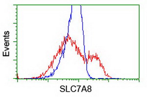m04381 2 anti lat2 slc7a8 mouse monoclonal antibody clone id oti4a6 flow cytometry testing 3