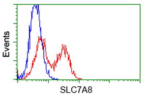 m04381 anti lat2 slc7a8 mouse monoclonal antibody clone id oti5a9 flow cytometry testing 4