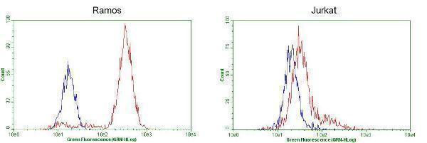 m04431 2 anti bob1 pou2af1 mouse monoclonal antibody clone id oti2d3 flow cytometry testing 4