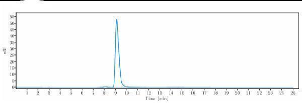 The purity of Anti-Integrin aL/ITGAL/CD11a Reference Antibody (efalizumab)is more than 98