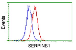 m04491 1 anti serpinb1 mouse monoclonal antibody clone id oti1d1 flow cytometry testing 4