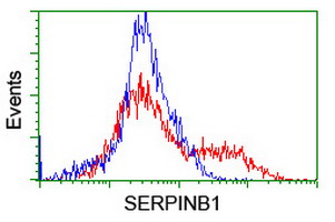 m04491 anti serpinb1 mouse monoclonal antibody clone id oti4b3 flow cytometry testing 12