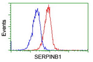 m04491 anti serpinb1 mouse monoclonal antibody clone id oti4b3 flow cytometry testing 13