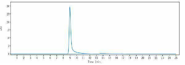 The purity of Anti-VEGFB Reference Antibody (CSL346)is more than 98