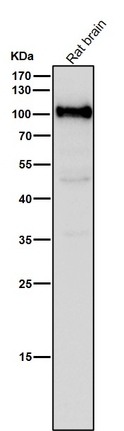 m04550 3 wb9