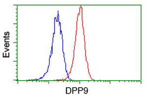 m04552 anti dpp9 mouse monoclonal antibody clone id oti2e3 flow cytometry testing 11