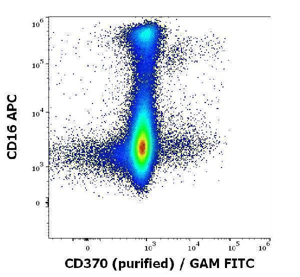 Flow cytometry multicolor surface staining of human myeloid cells stained using anti-human CD370 (8F9) purified antibody (concentration in sample 1,67 µg/ml, GAM FITC) and anti-human CD16 (3G8) APC antibody (10 µl reagent / 100 µl of peripheral whole blood)