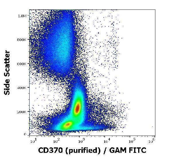 Flow cytometry surface staining pattern of human peripheral whole blood stained using anti-human CD370 (8F9) purified antibody (concentration in sample 1,67 µg/ml) GAM FITC