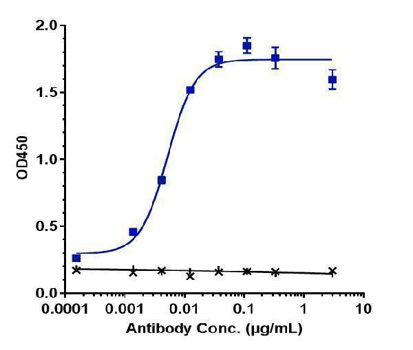 Immobilized human ACVR2B chis at 2 &mug/mL can bind Anti-ACVR2B Reference Antibody (bimagrumab)