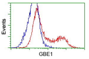 m04694 anti gbe1 mouse monoclonal antibody clone id oti1d11 flow cytometry testing 8