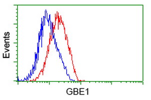 m04694 anti gbe1 mouse monoclonal antibody clone id oti1d11 flow cytometry testing 9
