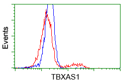 m04697 anti tbxas1 mouse monoclonal antibody clone id oti2c1 flow cytometry testing 6