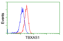 m04697 anti tbxas1 mouse monoclonal antibody clone id oti2c1 flow cytometry testing 7