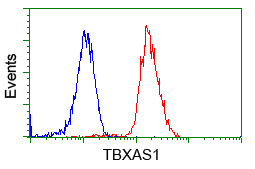 m04697 anti tbxas1 mouse monoclonal antibody clone id oti2c1 flow cytometry testing 8
