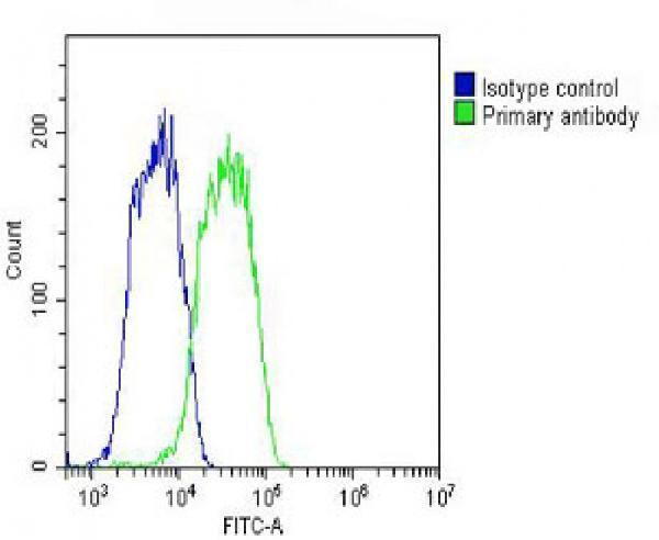 m04718 anti slc29a2 antibody n term fc testing 4