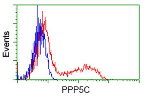m04723 1 anti pp5 ppp5c mouse monoclonal antibody clone id oti4g8 flow cytometry testing 15