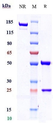m04735 1 sds page