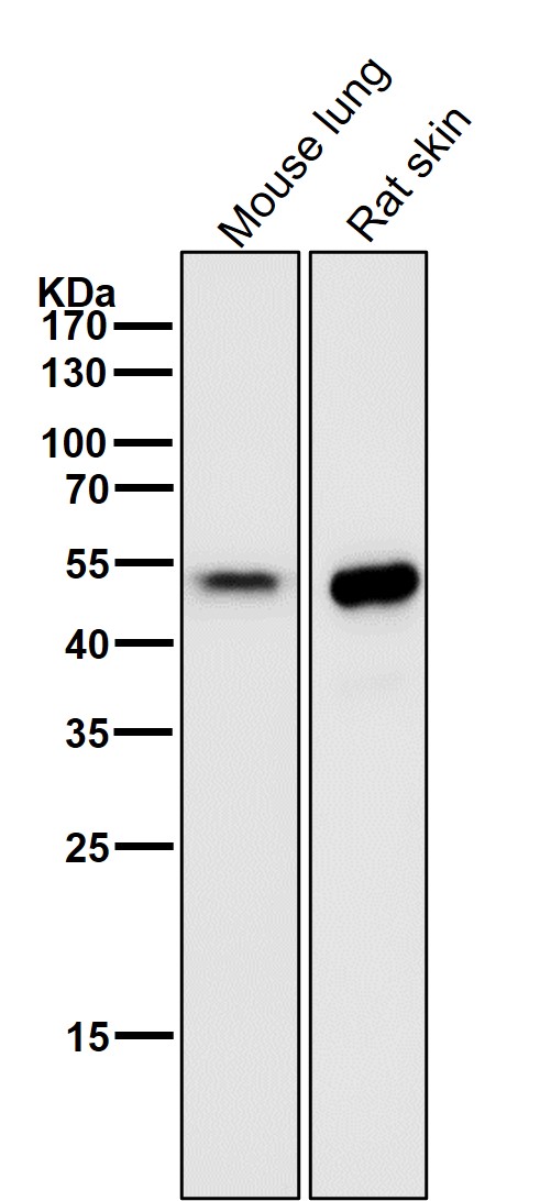 m04756 wb8