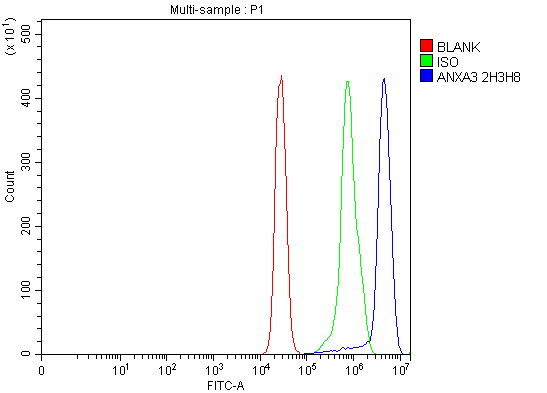 m04796 2 anxa3 primary antibodies fcm testing 5