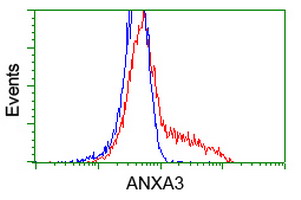 m04796 anti annexin a3 anxa3 mouse monoclonal antibody clone id oti1a5 flow cytometry testing 7