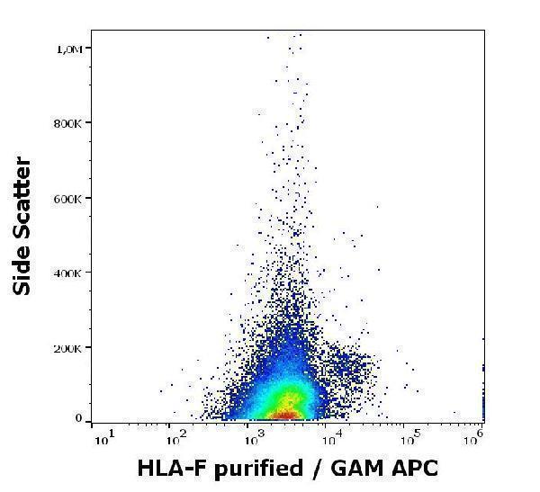 Flow cytometry surface staining pattern of human PMA + Ionomycin stimulated peripheral blood mononuclear cells stained using  anti-human HLA-F (3D11) purified antibody (concentration in sample 5 µg/ml, GAM APC)