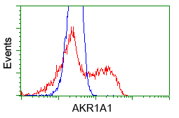 HEK293T cells transfected with either pCMV6-ENTRY AKR1A1 (Red) or empty vector control plasmid (Blue) were immunostained with anti-AKR1A1 mouse monoclonal (M04855)