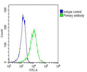 Overlay histogram showing A431 cells stained with M04890(green line)