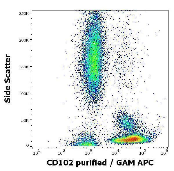 m04901 hu cd102 primary antibodies fc testing 2
