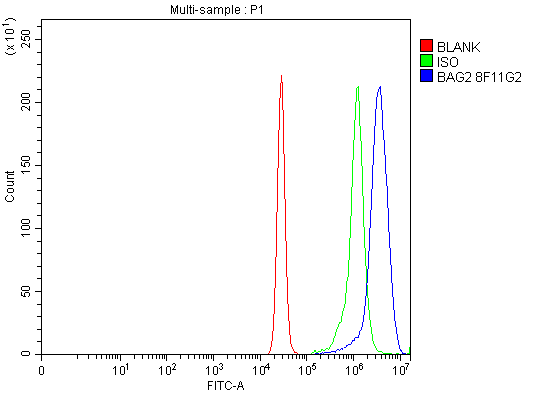  Flow Cytometry analysis of K562 cells using anti-BAG2 antibody (M04933-2)