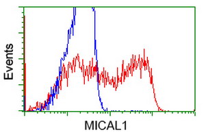 m04949 anti mical1 mouse monoclonal antibody clone id oti2h1 flow cytometry testing 10