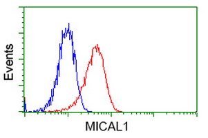 m04949 anti mical1 mouse monoclonal antibody clone id oti2h1 flow cytometry testing 11
