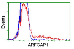 m04959 anti arfgap1 mouse monoclonal antibody clone id oti1f6 flow cytometry testing 13