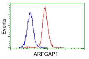 m04959 anti arfgap1 mouse monoclonal antibody clone id oti1f6 flow cytometry testing 15