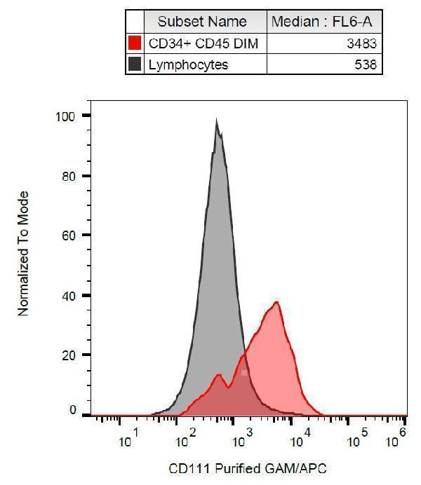 Flow cytometry analysis (surface staining) of human peripheral blood with anti-human CD111 (R1