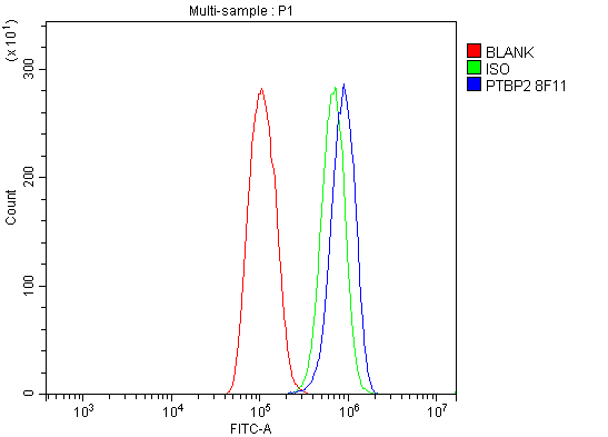 m05020 1 ptbp2 primary antibodies fcm testing 5