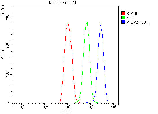 m05020 2 ptbp2 primary antibodies fcm testing 6