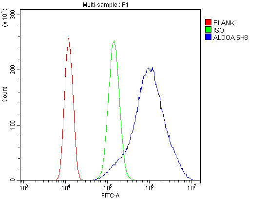 m05022 2 aldoa primary antibodies fcm testing 6