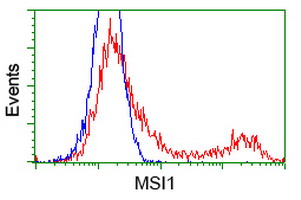 m05052 2 anti msi1 mouse monoclonal antibody clone id oti1g8 flow cytometry testing 6
